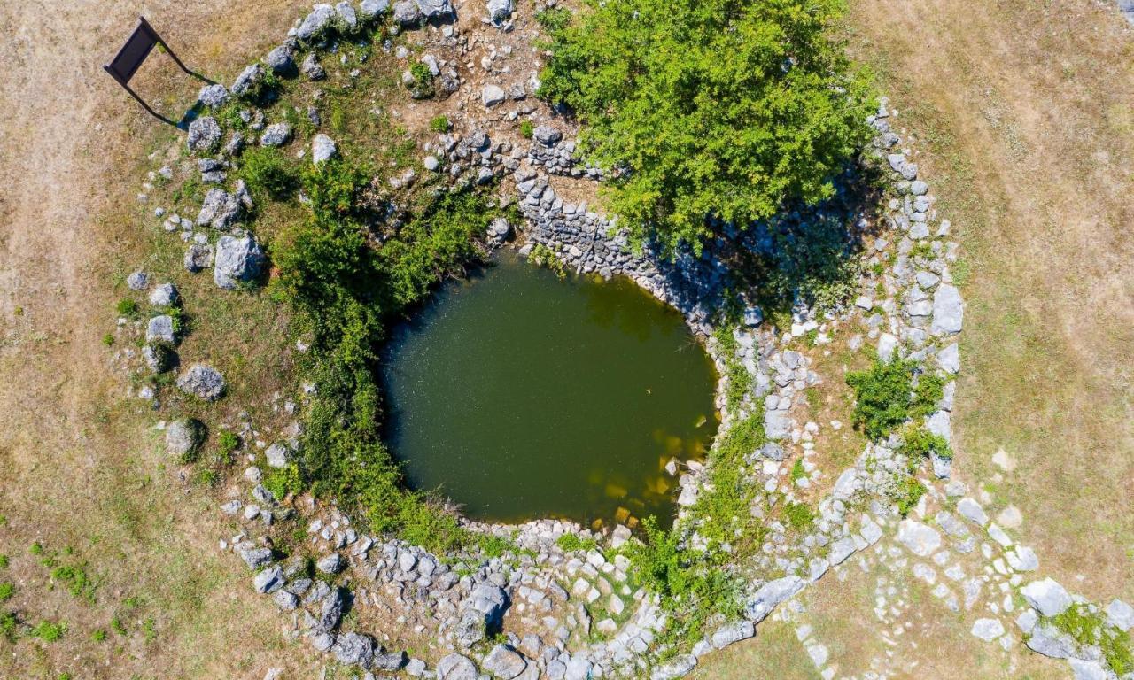 Villa Majkovica オラサック エクステリア 写真